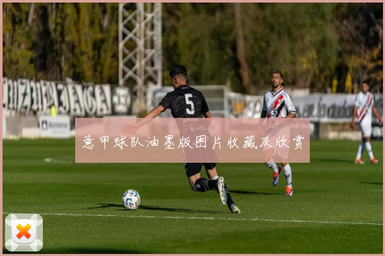 意甲球队油墨版图片收藏及欣赏