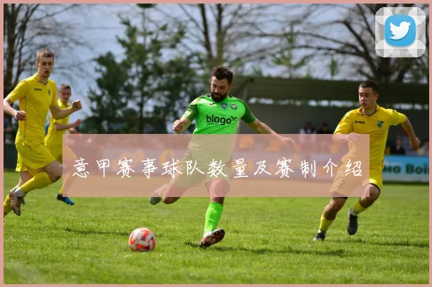 意甲赛事球队数量及赛制介绍