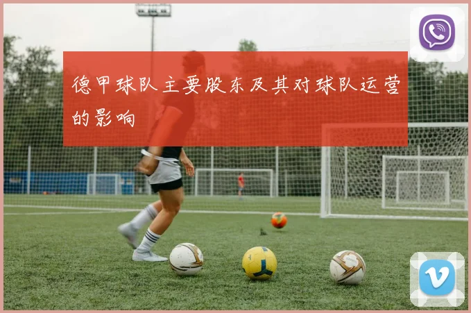 德甲球队主要股东及其对球队运营的影响