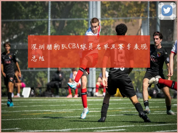 深圳猎豹队CBA球员名单及赛季表现总结