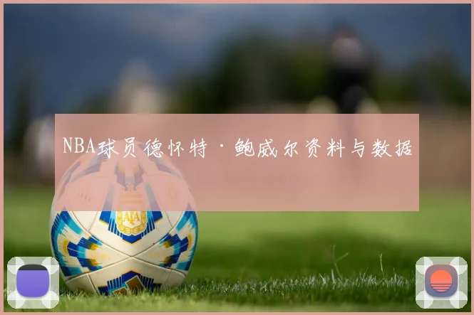 NBA球员德怀特·鲍威尔资料与数据